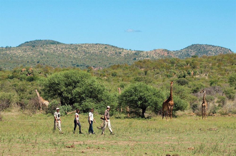 Madikwe Safari Lodge Melorane Ngoại thất bức ảnh