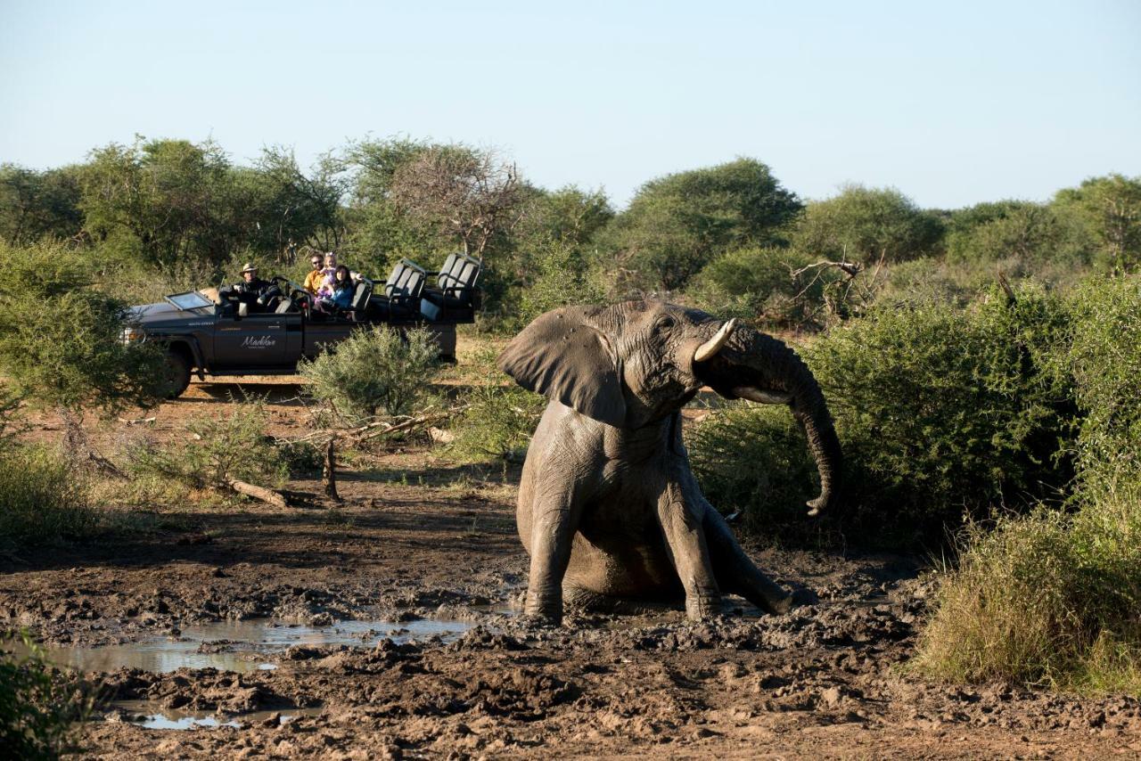 Madikwe Safari Lodge Melorane Ngoại thất bức ảnh